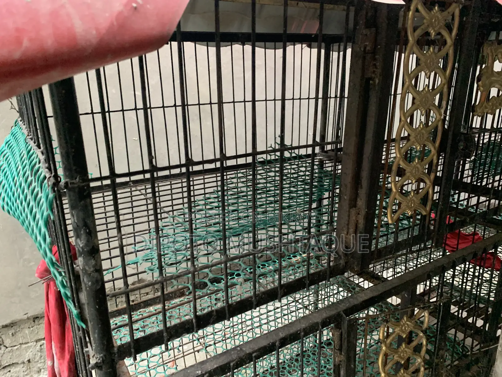 Cage for Sale