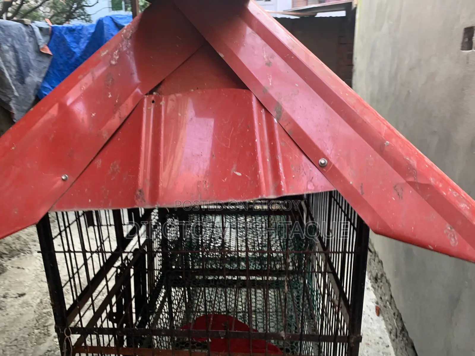 Cage for Sale