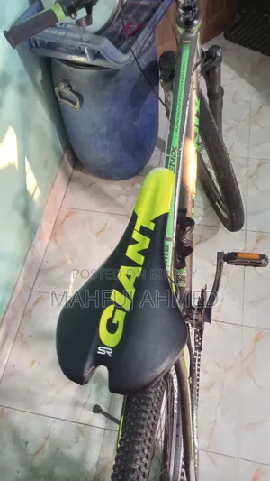 You will find zero issues with this bicycle