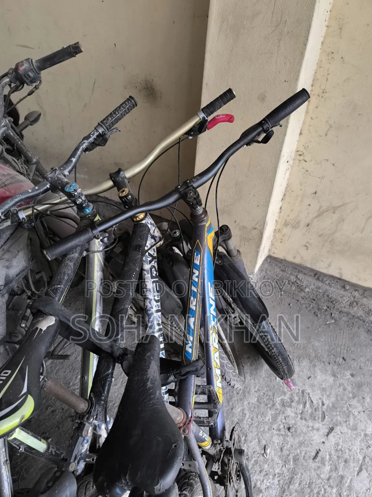 Bicycle for sale