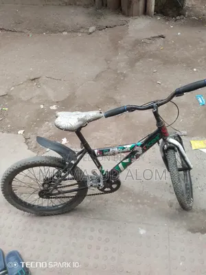সাইকেল টি বাচ্চারা চালাতে পারবেন। ব্যবহৃত।