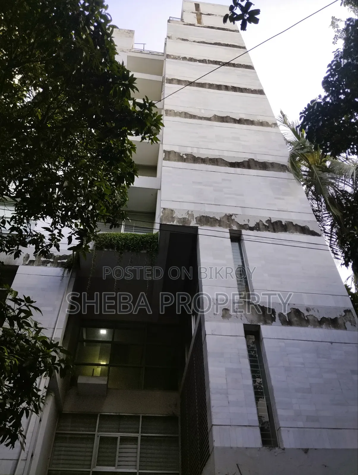 গুলশানে ২৭ বেডরুমের বাসা ভাড়ার জন্য