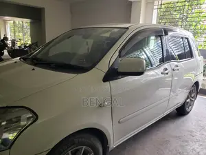 Toyota Raum 2011 Pearl
