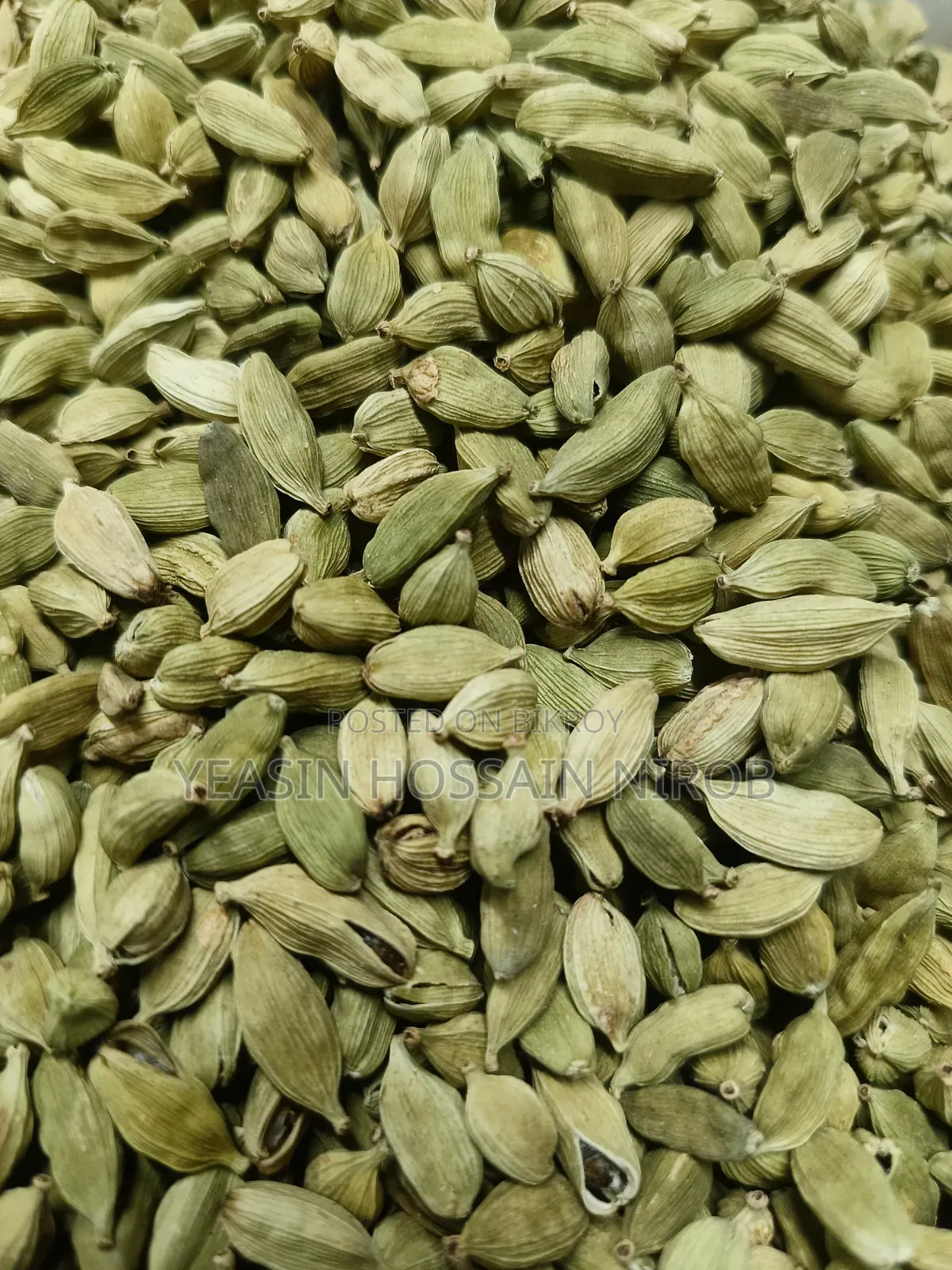 Cardamom