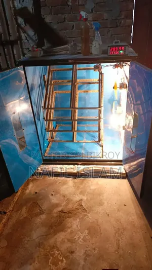 Egg Incubator
