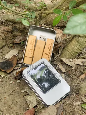 64GB Unique Wooden Design Pendrive