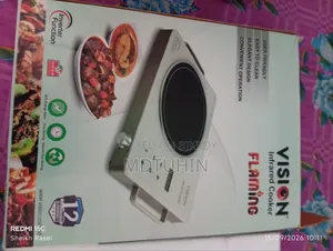 ইলেকট্রিক চুলা ভিশন