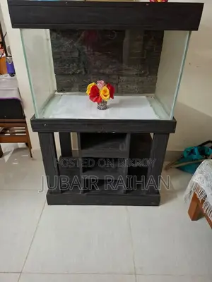 Fish Aquarium and Aquarium Counter