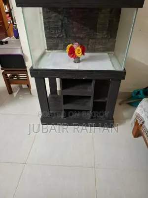Fish Aquarium and Aquarium Counter