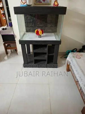 Fish Aquarium and Aquarium Counter