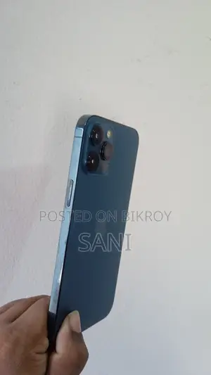 অ্যাপল আইফোন ১২ প্রো ম্যাক্স ২৫৬ জিবি নীল