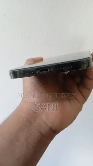 অ্যাপল আইফোন ১২ প্রো ম্যাক্স ২৫৬ জিবি নীল