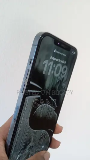 অ্যাপল আইফোন ১২ প্রো ম্যাক্স ২৫৬ জিবি নীল