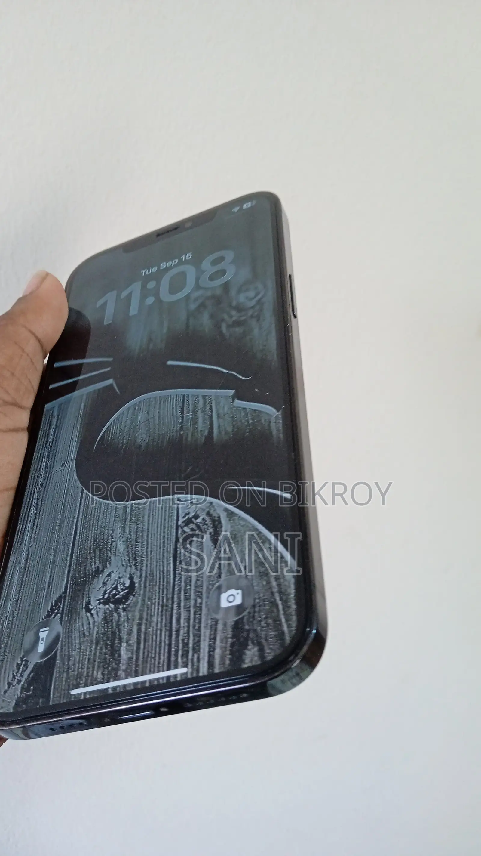 অ্যাপল আইফোন ১২ প্রো ম্যাক্স ২৫৬ জিবি নীল