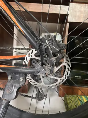 Focus Bold Mountain Bicycle ( Oil Brake)