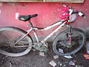 28-inch Bicycle