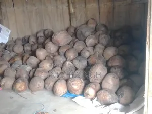 লক্ষিপুরের নারিকেল