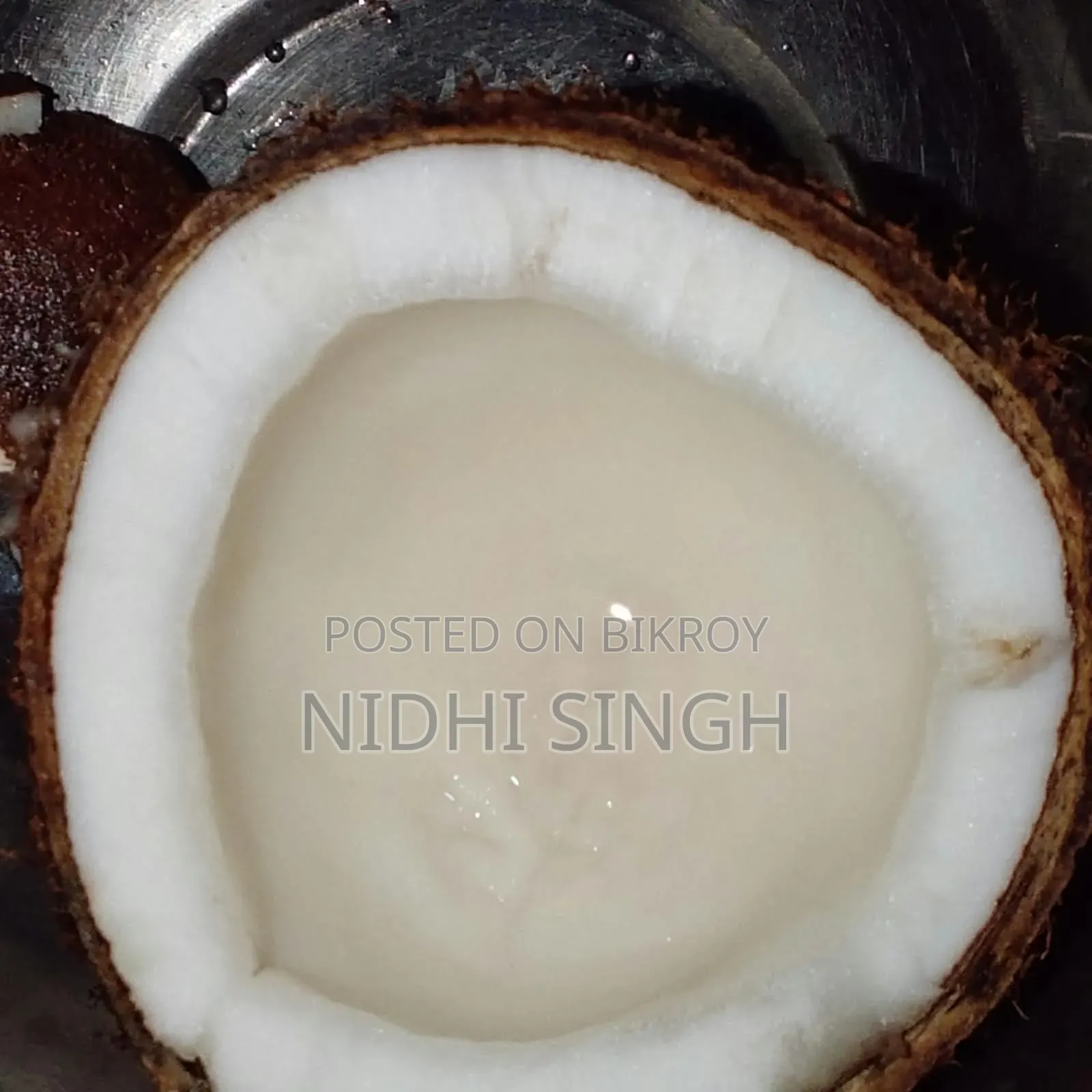 লক্ষিপুরের নারিকেল
