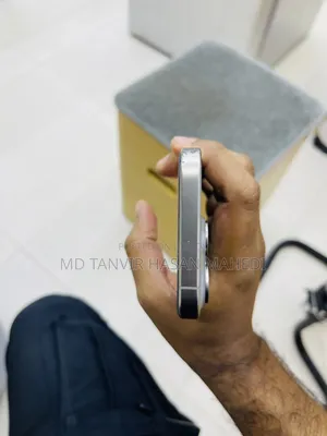 Apple iPhone 15 Pro 256 GB Silver