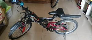 Bi Cycle 20 Inch
