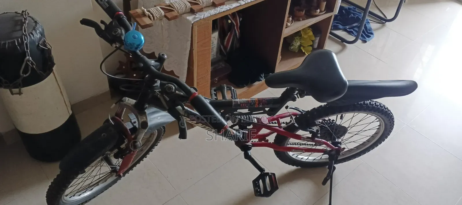 Bi Cycle 20 Inch