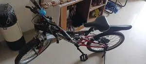 Bi Cycle 20 Inch
