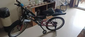 Bi Cycle 20 Inch