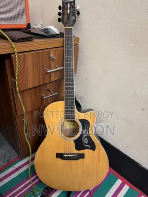 ফিশম্যান ইকুয়ালাইজার সহ কাস্টম গিটার