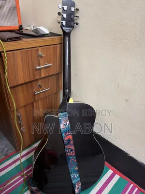 ফিশম্যান ইকুয়ালাইজার সহ কাস্টম গিটার