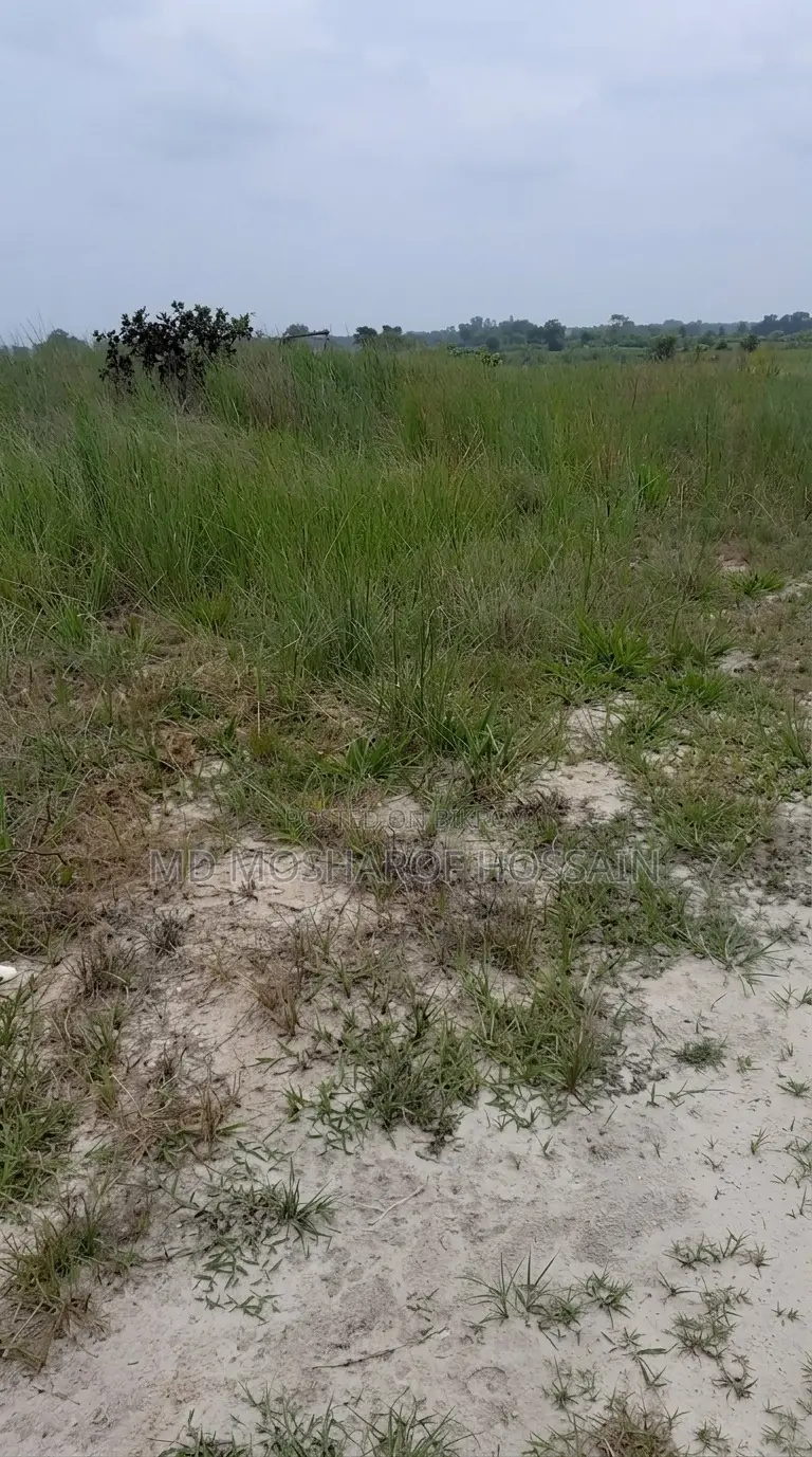 Block D, 3.50 Katha Land for Sale in Bashundara Riverview Project