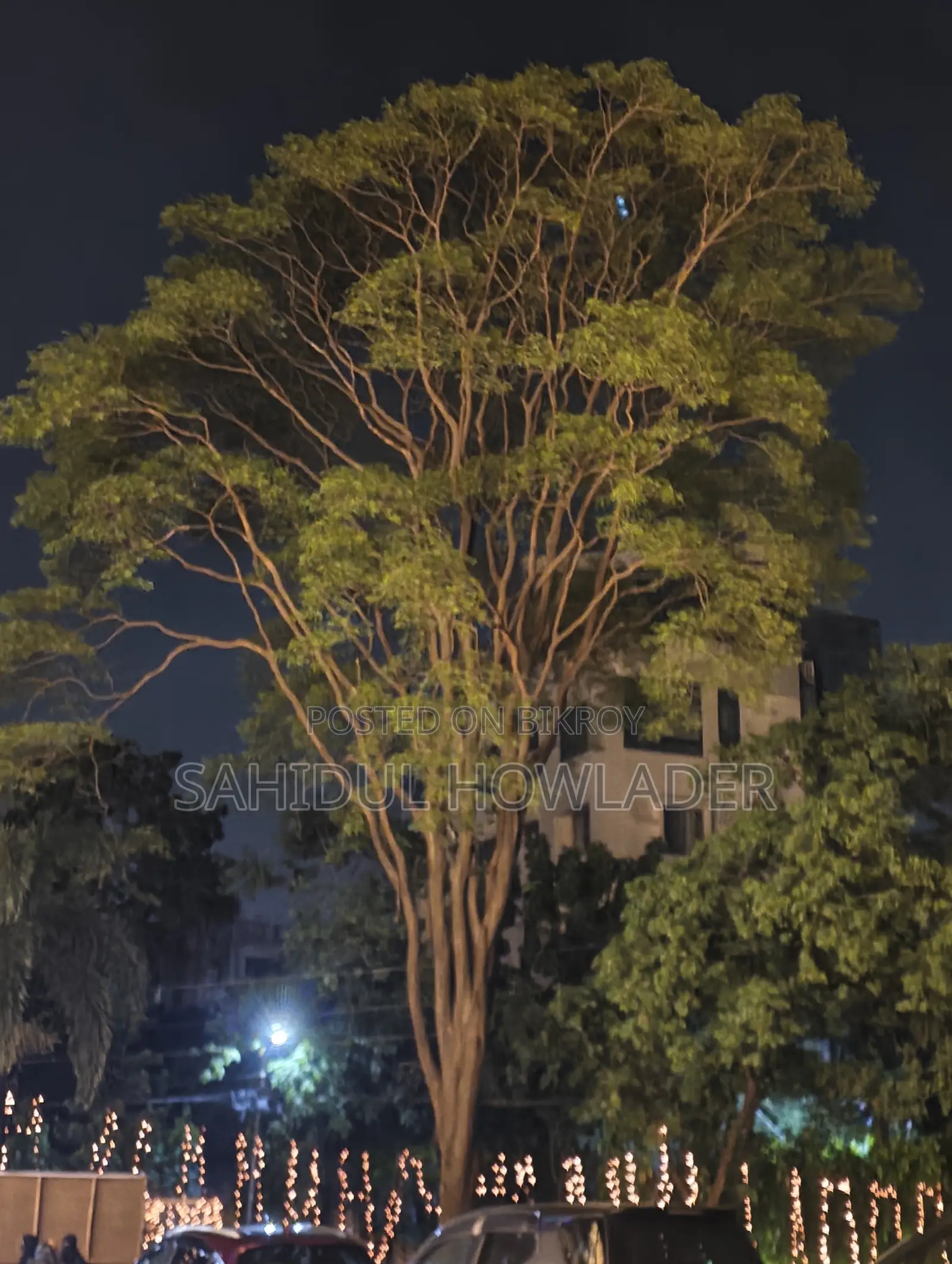 হিরো ইগনিটর ২০২৪ কালো