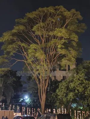 হিরো ইগনিটর ২০২৪ কালো