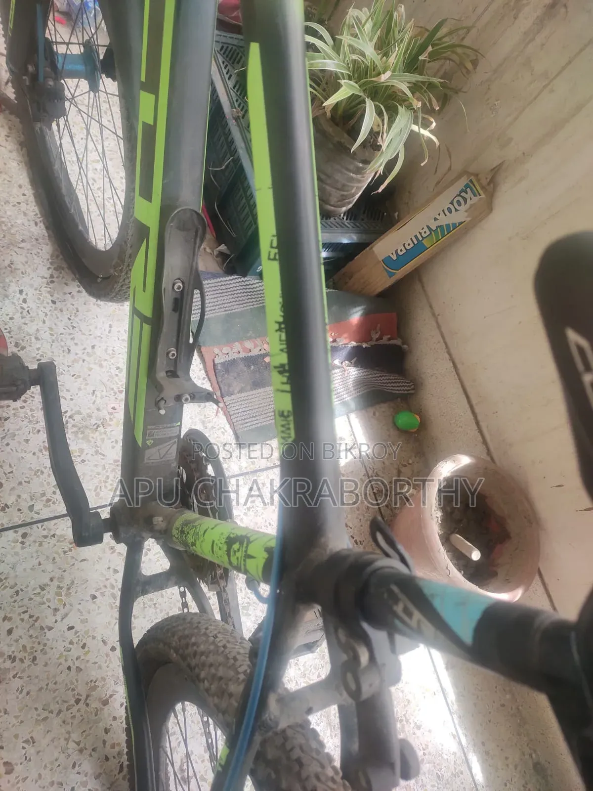Cycle Sell Dbo