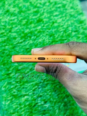 Apple iPhone 17 Pro Max 256 GB Orange