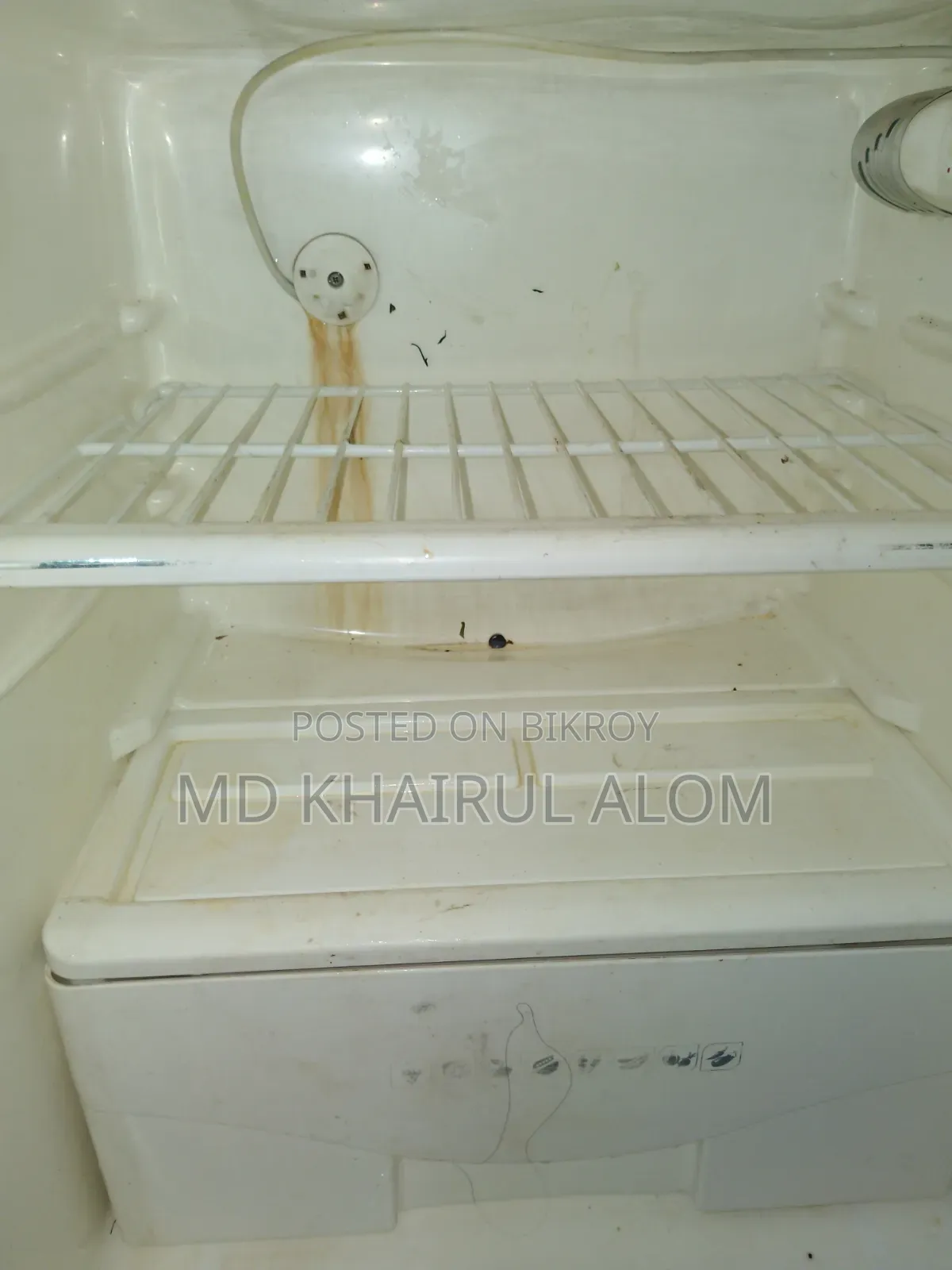 ওয়ালটন ব্যান্ড।