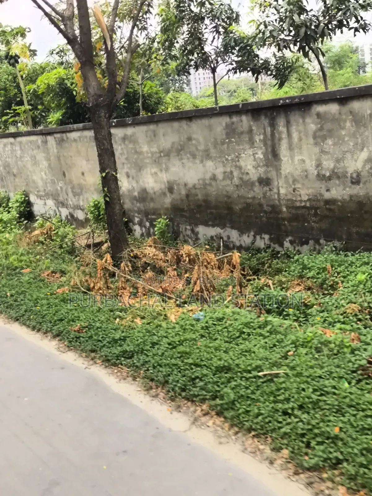 নিয়ার ৩০০ ফিট রোড আরজেন্ট ৫ কাঠা প্লট সেল ইন সেক্টর: ১১, পূর্বাচল