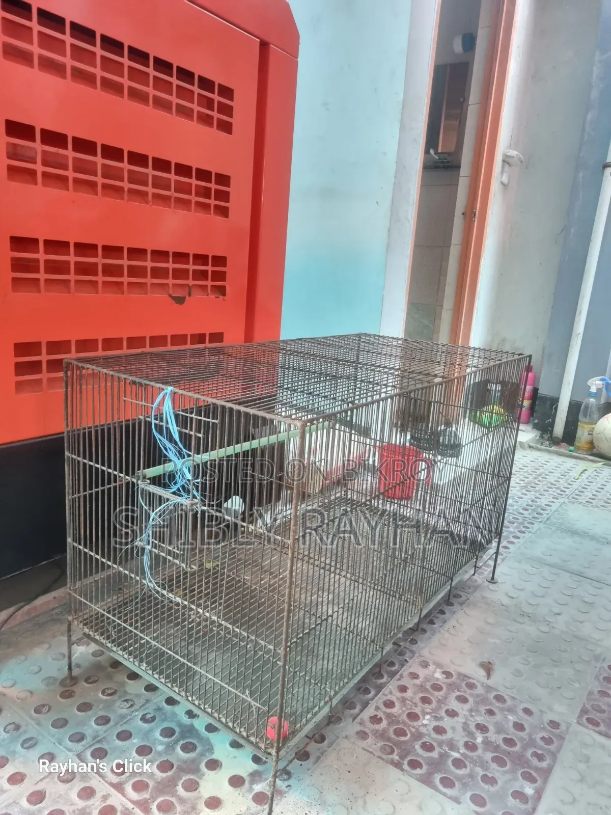 পাখির খাঁচা