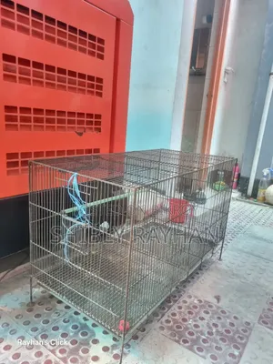 পাখির খাঁচা