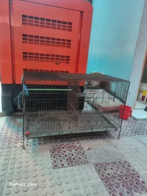 পাখির খাঁচা