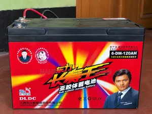 DLDC 6-Dm-120ah Battery
Voltage: 12v