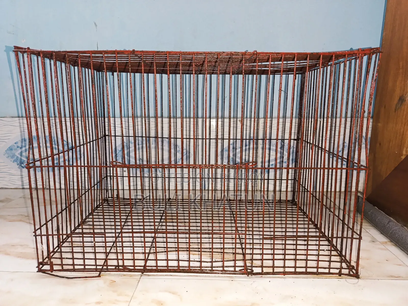Bird Cage