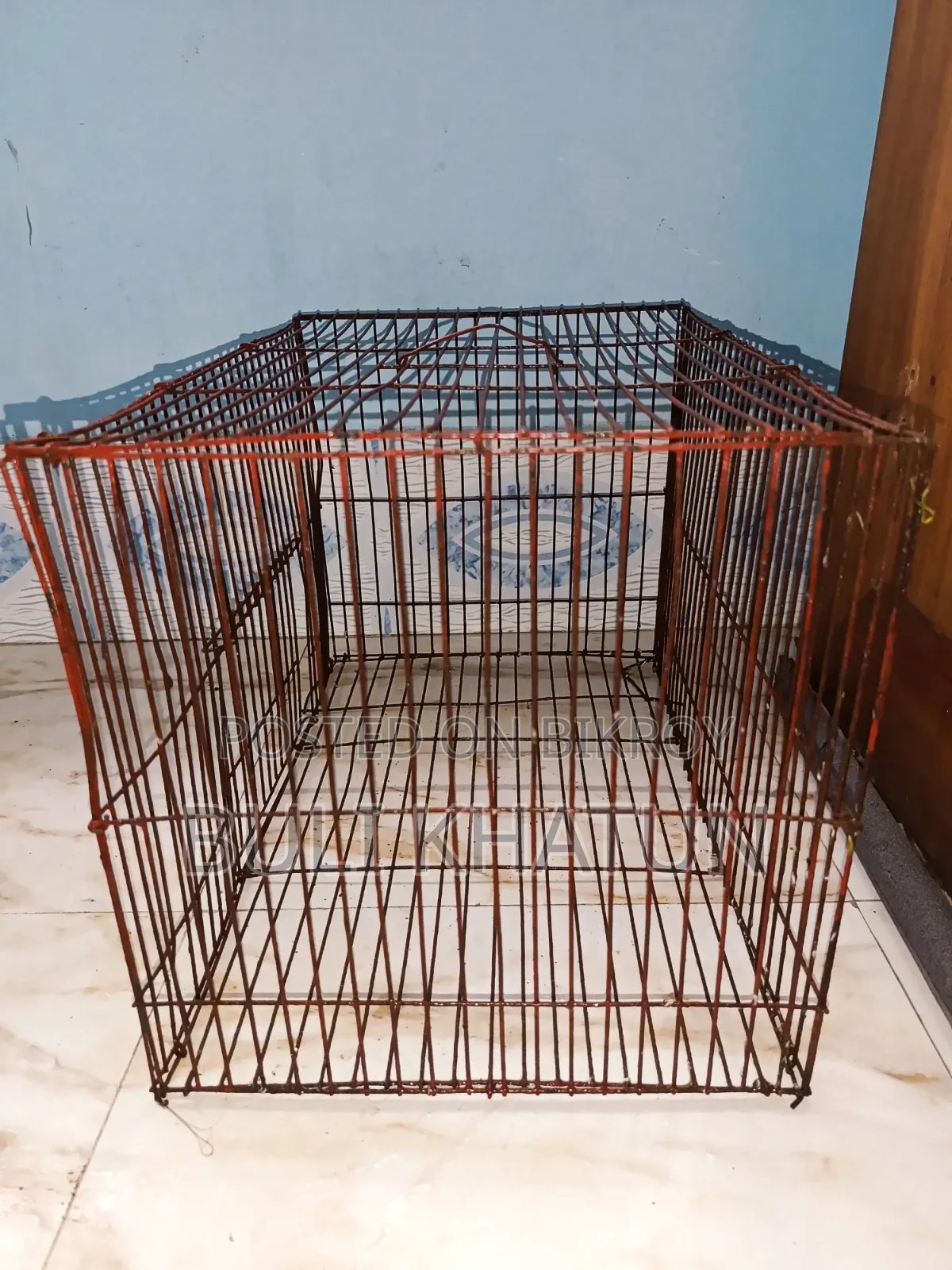 Bird Cage