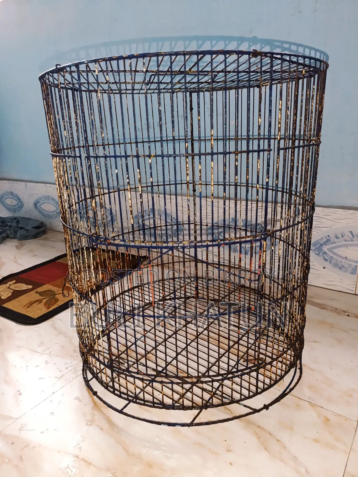 Bird Cage