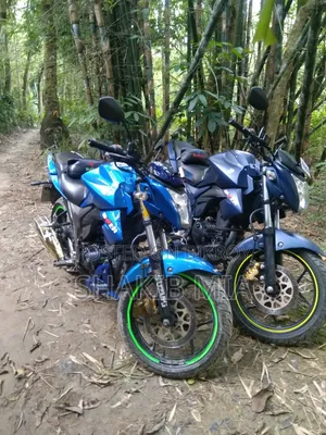 সুজুকি জিক্সার ২০১৫ নীল