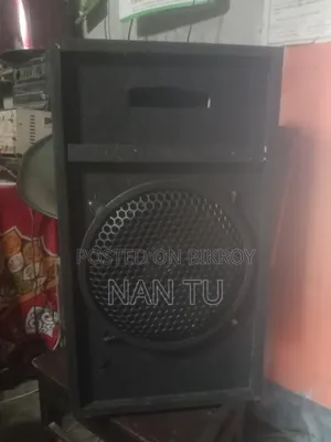 JBL 12-Inch Speaker