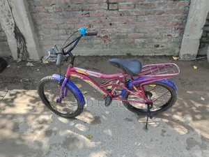 সাইকেল সেল পোস্ট