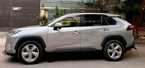 Toyota RAV4 XLE AWD 2019 Gray