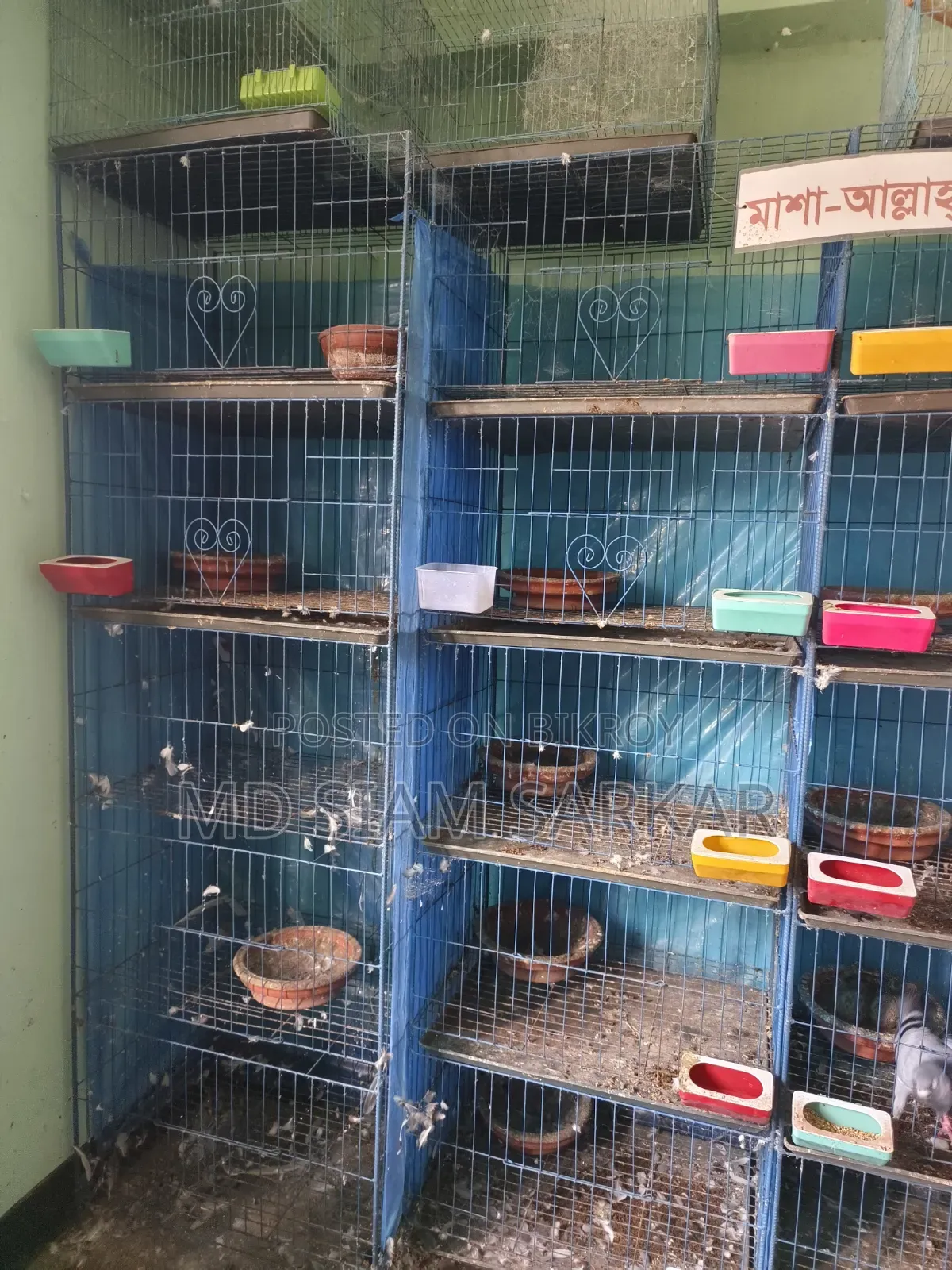 খাঁচা বিক্রি হবে