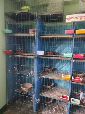খাঁচা বিক্রি হবে