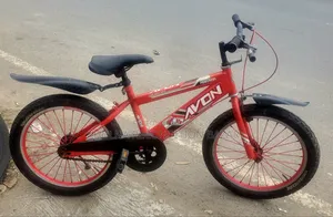 Avon 20 Size Baby Cycle